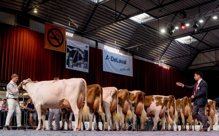 Platform Roodbont lanceert nieuwe Nationale Roodbont Show