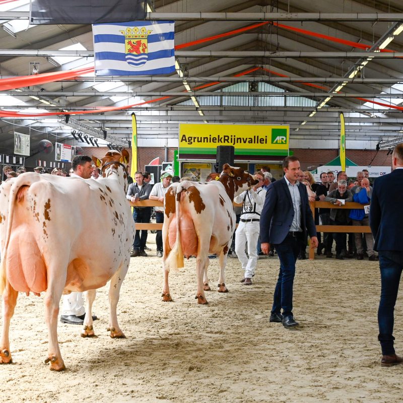 Nationale RB show-32
