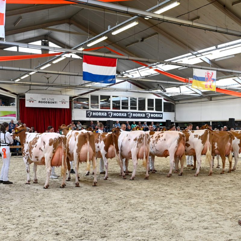 Nationale RB show-9